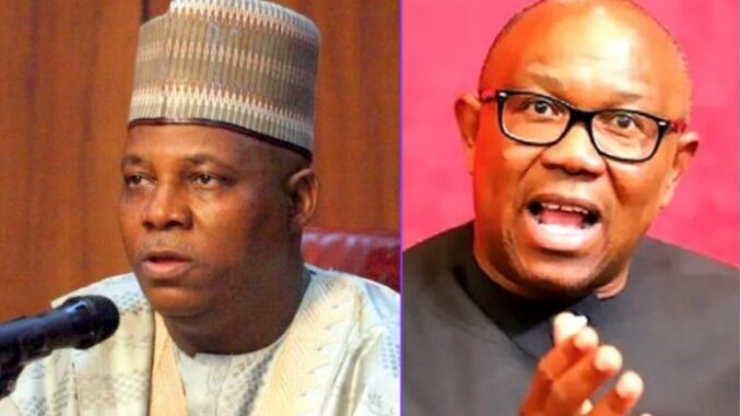 "Peter Obi can only become president in Igboland, Nigeria is too big for him to handle" – Kashim Shettima