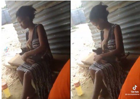 Shocking! Watch the viral of a lady comfortably breastfeeding a dog like a baby