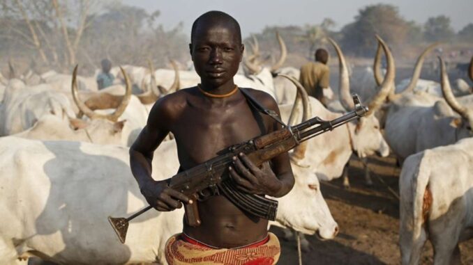 Many killed as Fulani Herdsmen attack Anyiin Community
