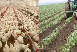 How To Start Farming Business In Nigeria