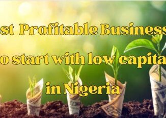 Most Profitable Business in Nigeria With Low Capital