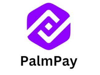 Palmpay Login With Phone Number