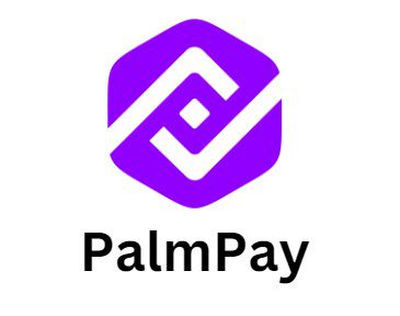 Palmpay Login With Phone Number