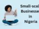 Small scale business in Nigeria