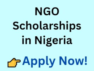 NGO Scholarships in Nigeria